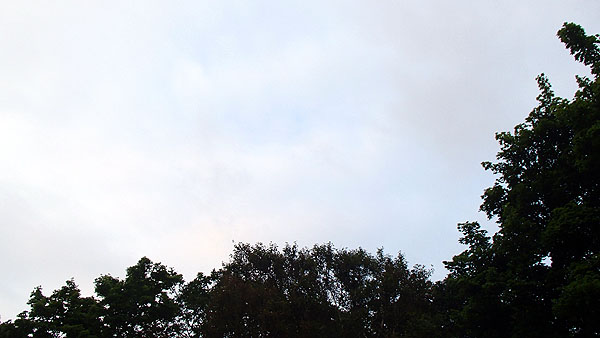 青空が見える百人浜キャンプ場